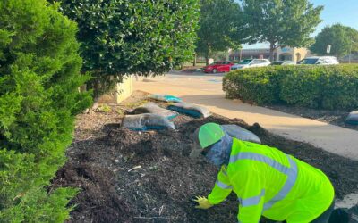 9 Considerations for Your 2024 Commercial Landscaping Budget