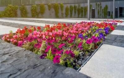 12 Spring Commercial Landscaping Tips for DFW