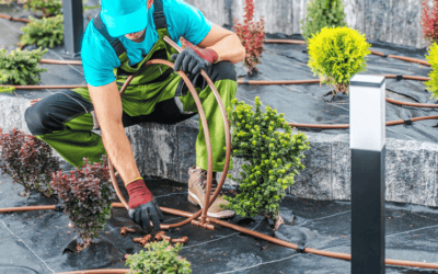 5 Reasons Why Irrigation Maintenance Should Be a Priority for Your Commercial Property
